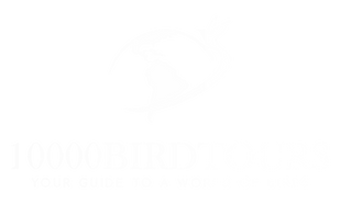10,000 Bird Tours