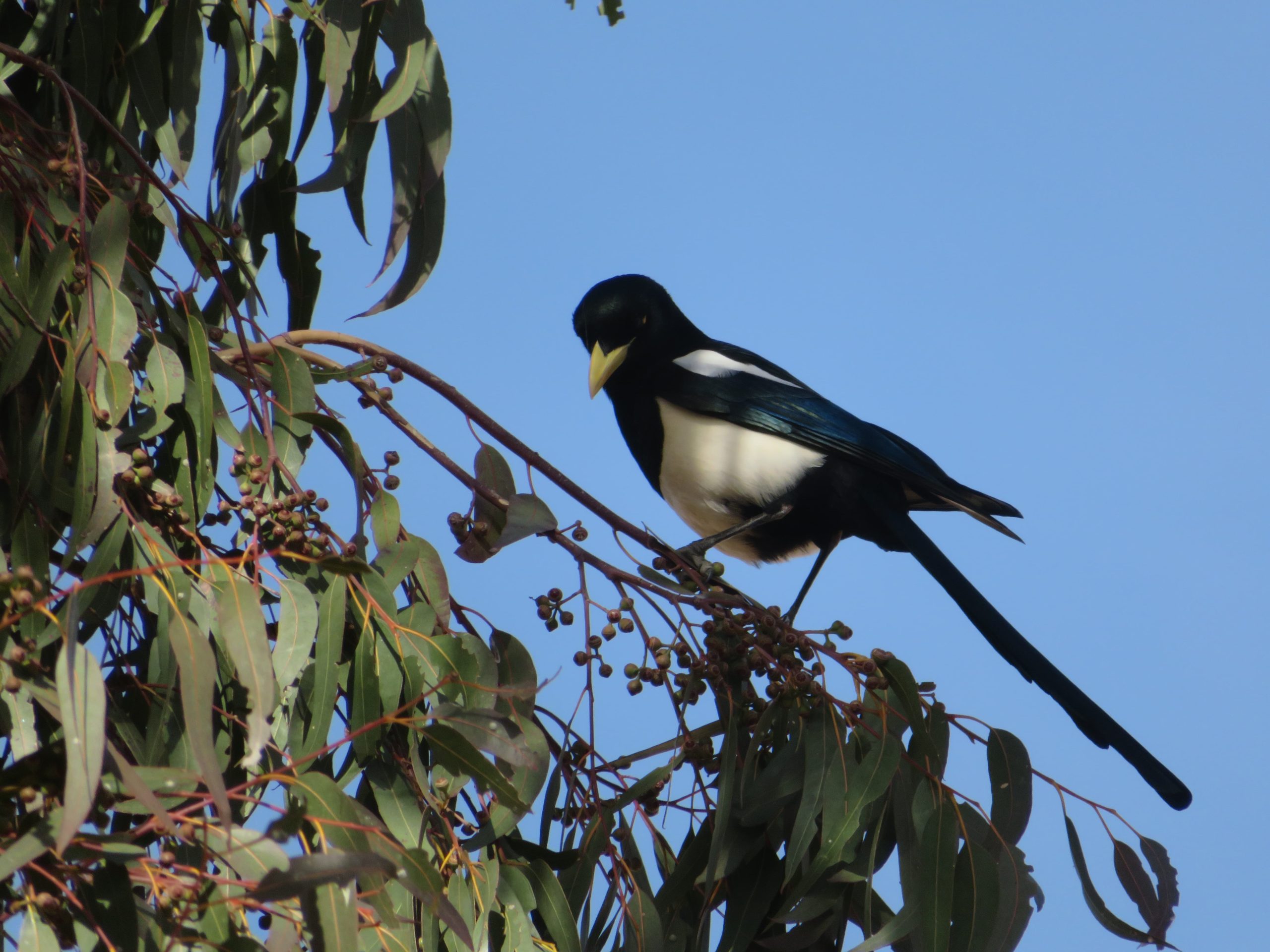 San Joaquin Valley California Full Day Tour - Image 4
