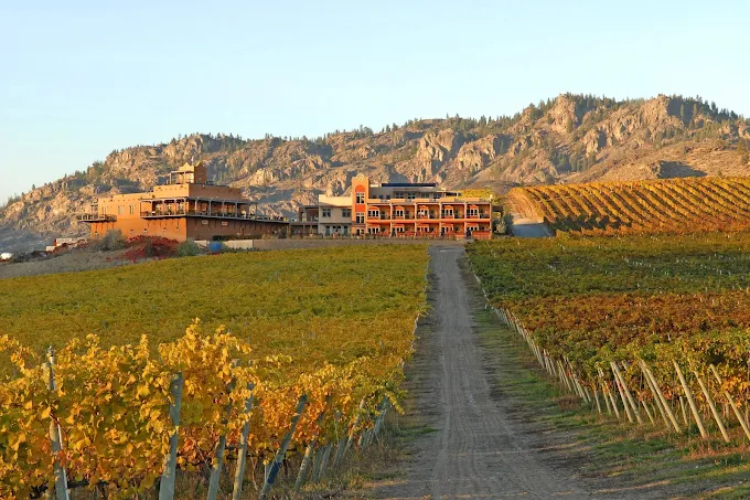 Burrowing Owl Winery