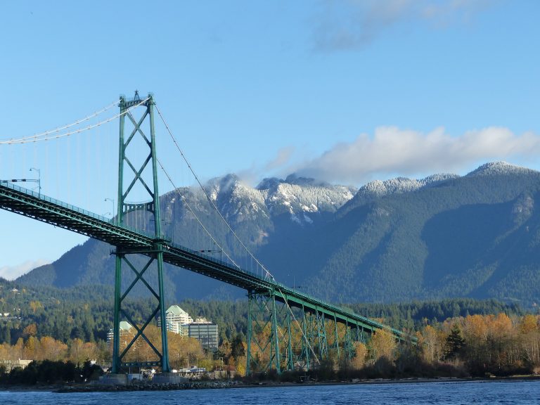 Best Birding in Vancouver: 5 Incredible Spots for Every Season!