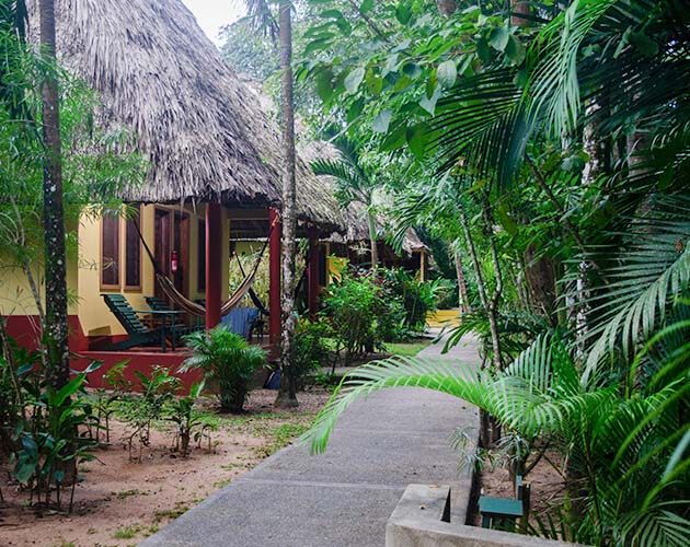 The yellow grass thatched cabanas with a walkway leading you to each in Crystal Paradise Resort